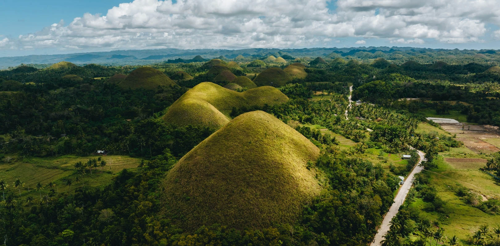 Bohol City ay isang hugis-itlog na Isla at isang tropikal na likas na kagandahan.
