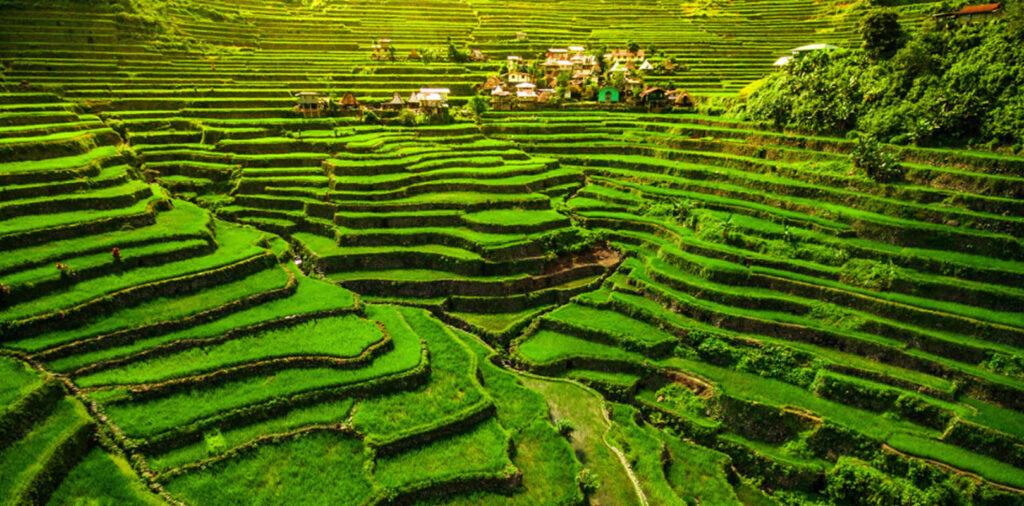 Banaue Rice Terraces, travel to Philippines