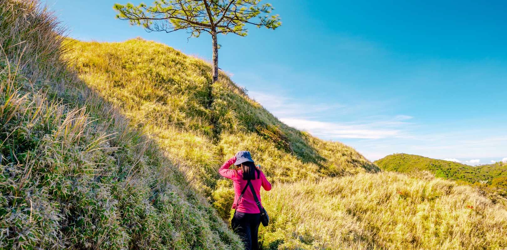 Mount Pulag