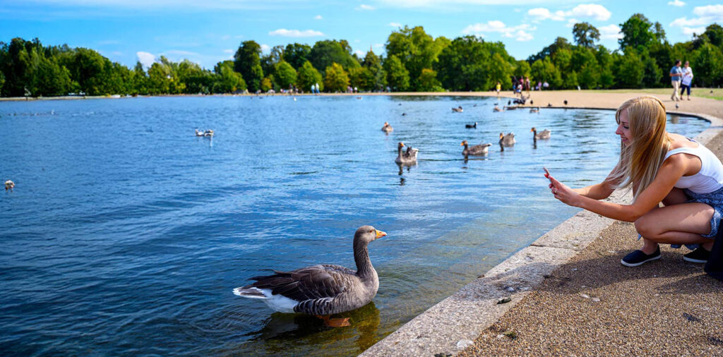 Hyde Park,  London in Autumn