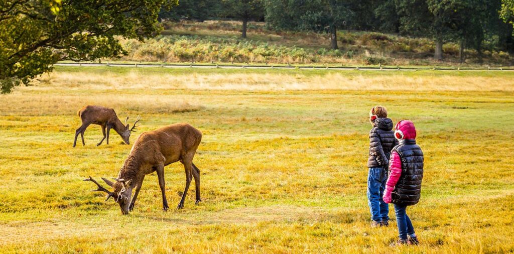 Richmond Park