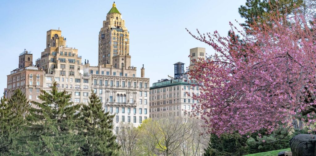 York, Spring in the UK