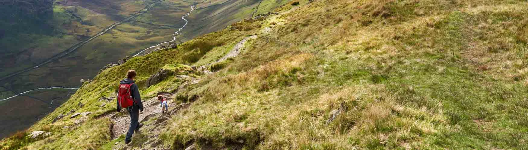 Fun Things to Do in Windermere